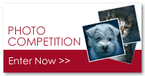 Photo Competition Animal Care Society Cork